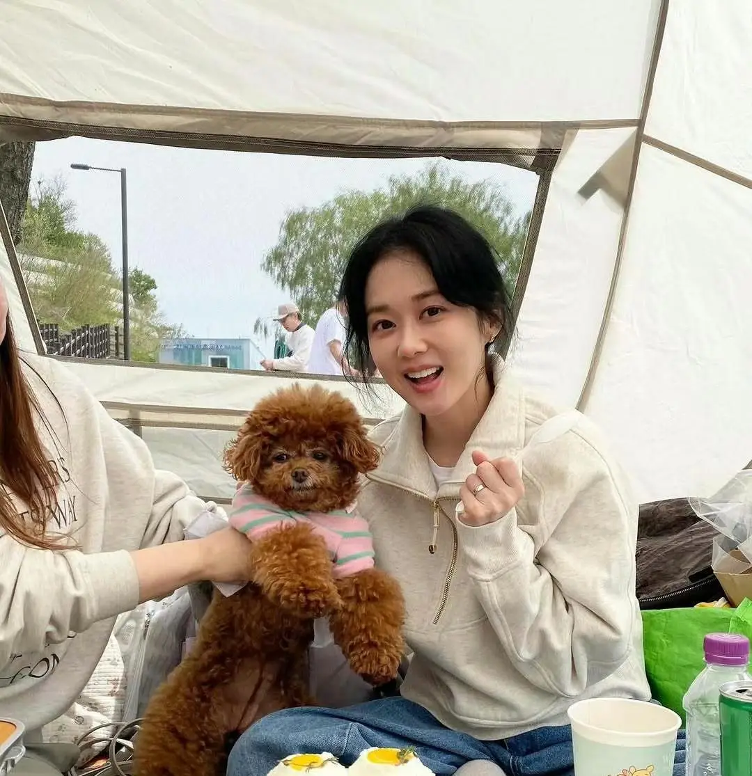 张娜拉中国市场翻车原因_韩国女演员辱华事件_林允儿黑料有哪些明星,