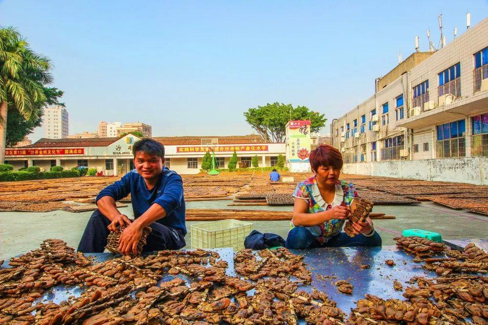 第十八届宝安区沙井金蚝美食民俗文化节_深圳八卦网红美食节在哪举行-_沙井金蚝美食民俗文化节活动