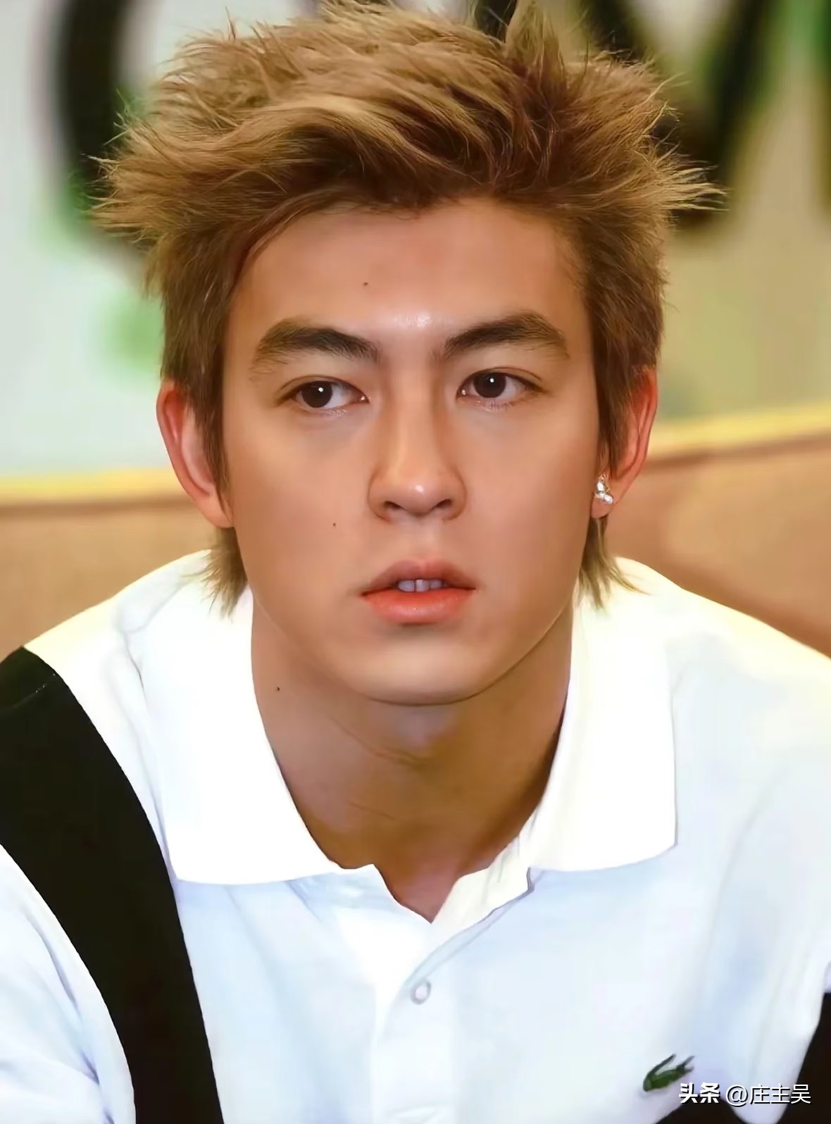 陈冠希事件真相_陈冠希退出娱乐圈原文_阿娇张柏芝隐私泄露事件分析