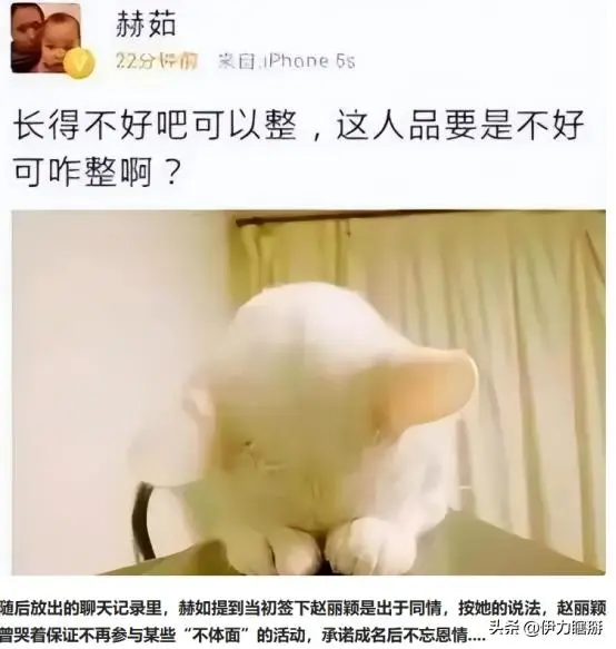 赵丽颖与冯绍峰婚姻真相_没有黑料的明星,_赵丽颖早期网暴经历