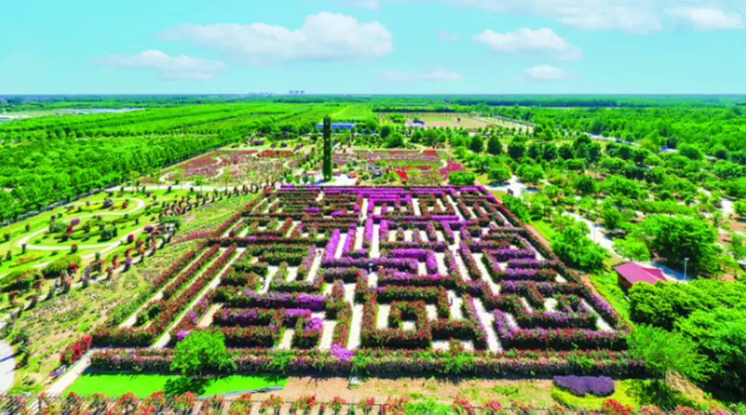 邳州红色旅游路线_邳州历史文化旅游_邳州娱乐圈演员